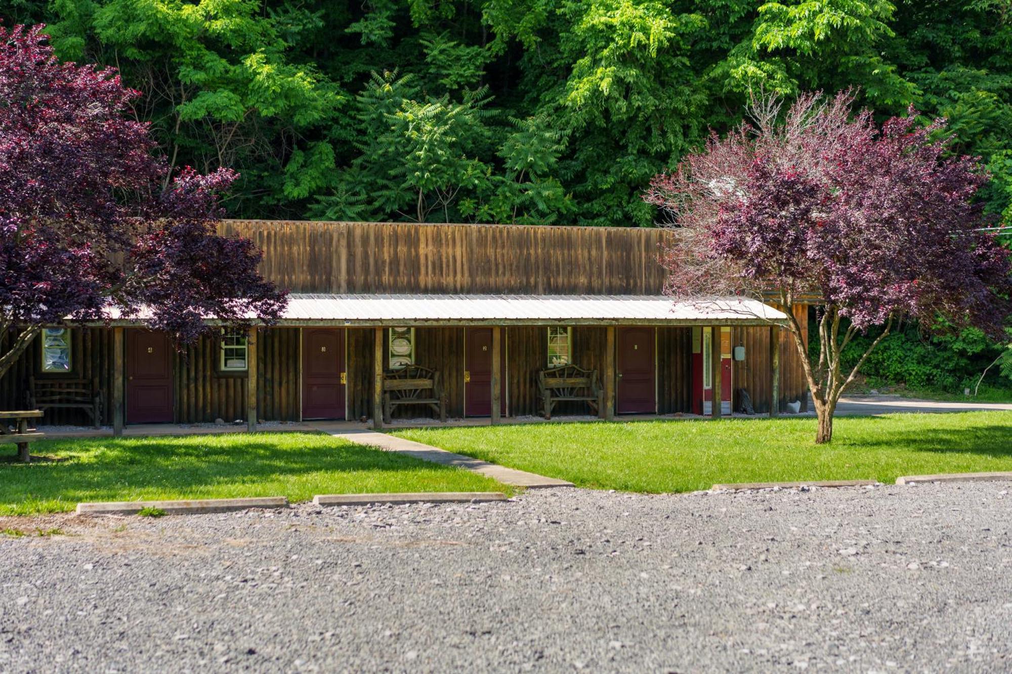 Seneca Pines Lodge Seneca Rocks Bagian luar foto